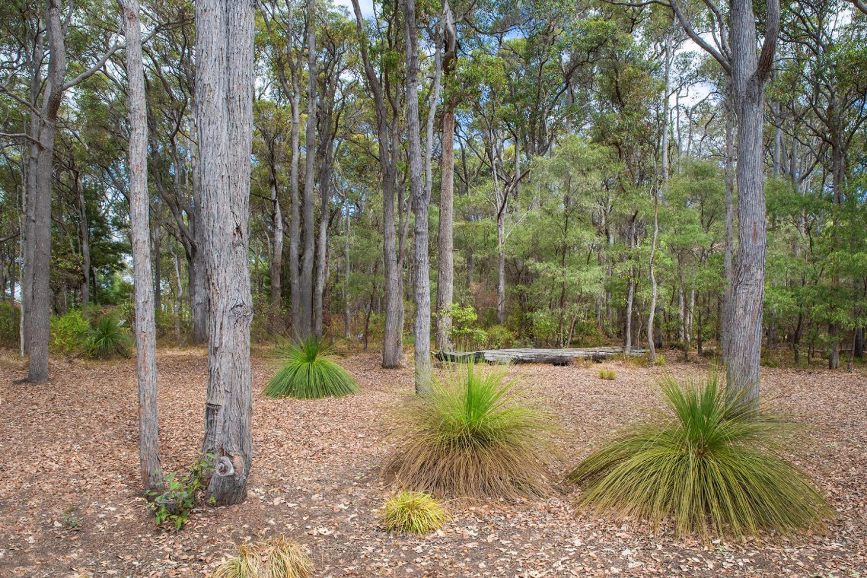 Cape Illawarra Holiday House Margaret River Villa Exterior photo